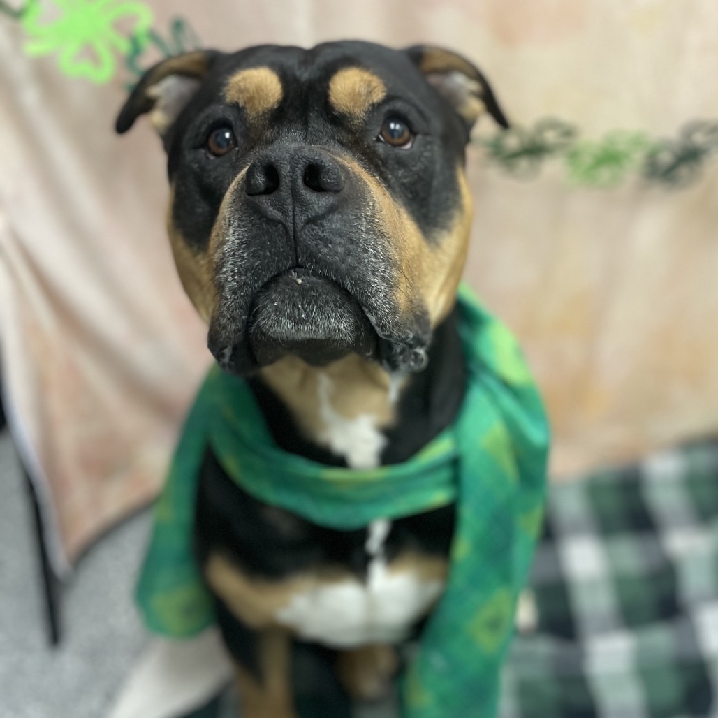 Mercury — thumbnail 3