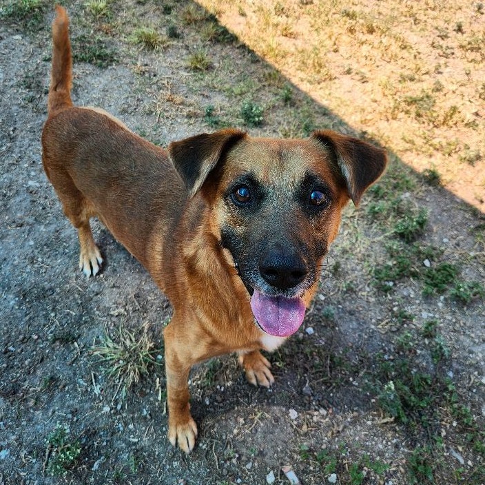 Mowgli photo 11