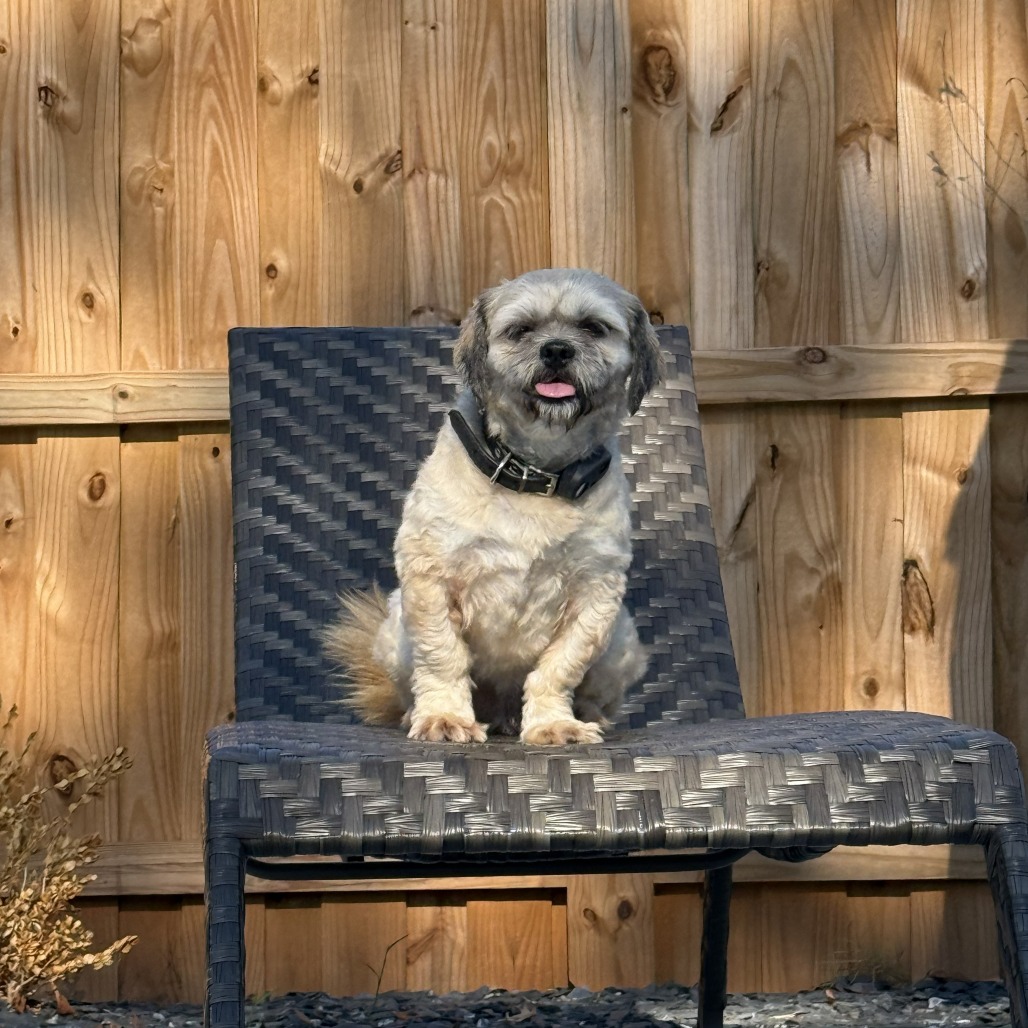 Wookiee 08-1710, photo 12