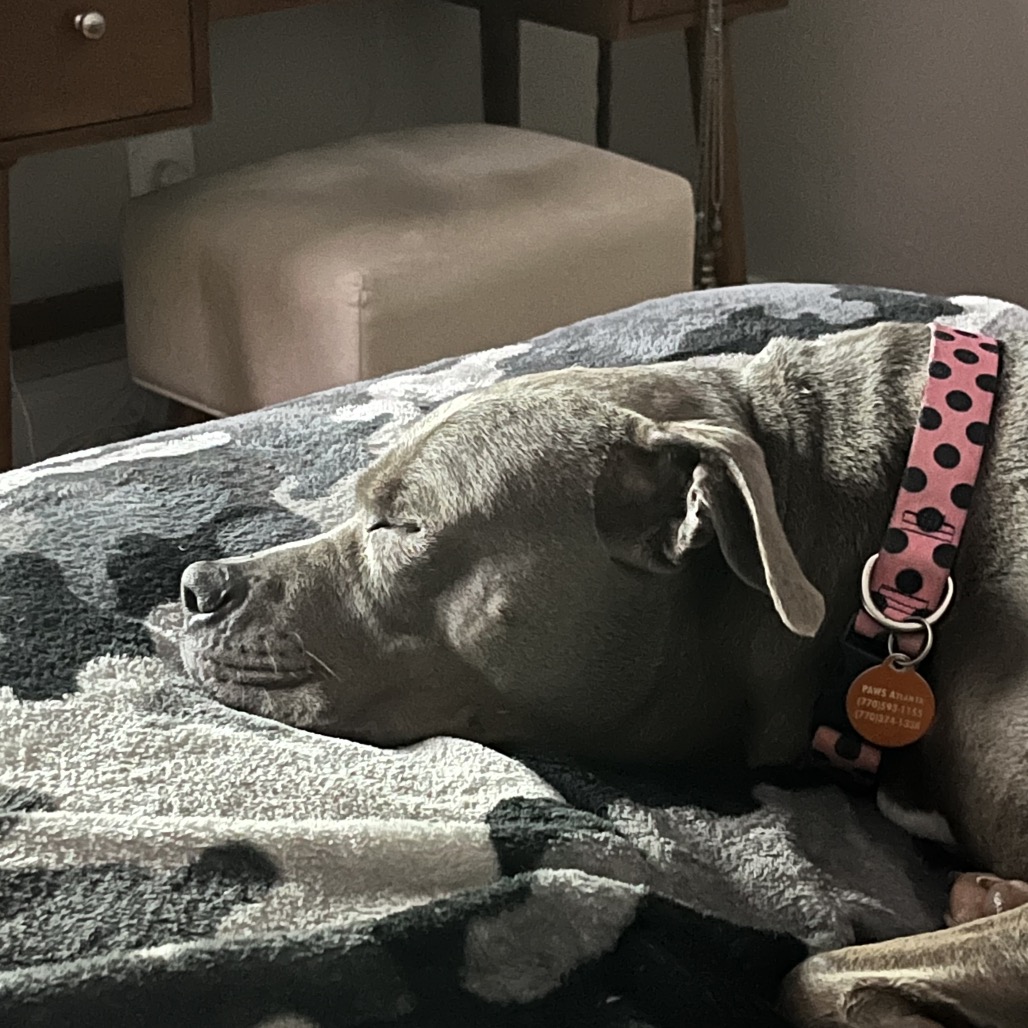 Cora (I Have a Secret Crush!), additional photo