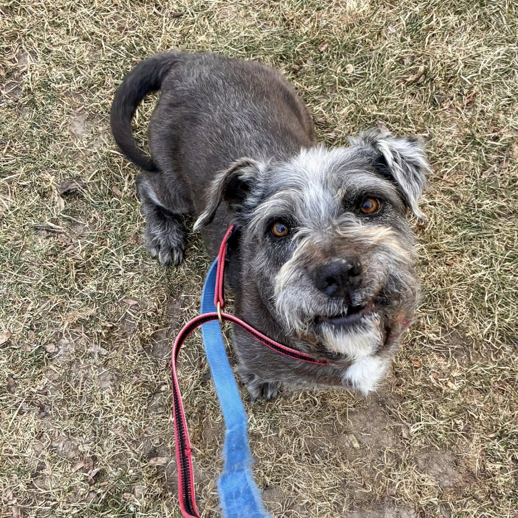 Benny — thumbnail 11