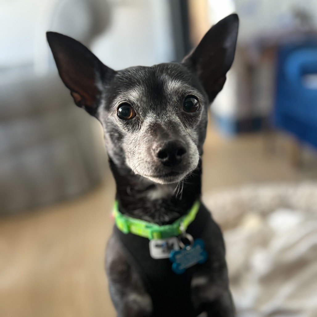 Jeff Probst 13377 — thumbnail 4