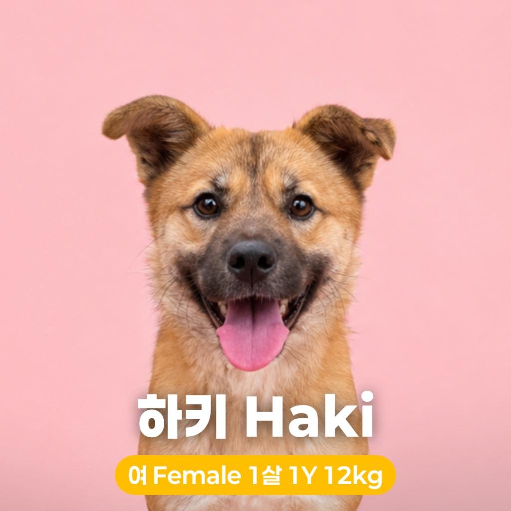 Haki