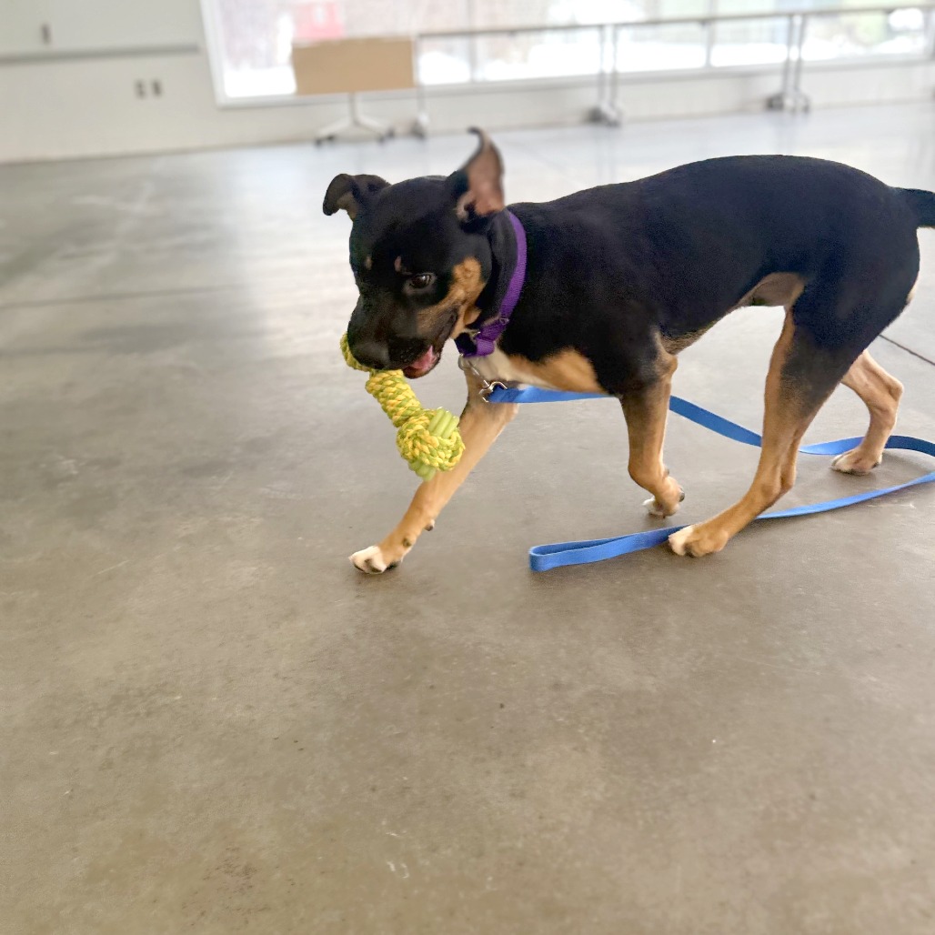 Photo of Kettlecorn 4