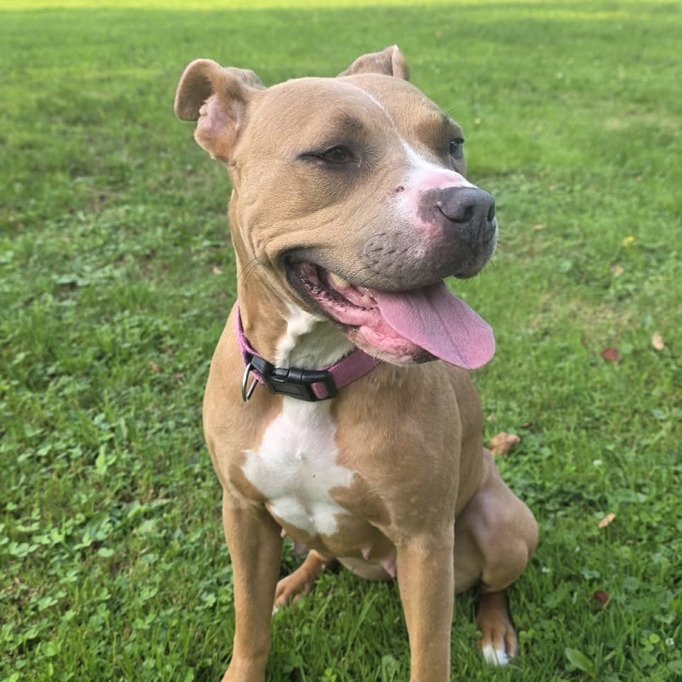 Shiloh, photo 7