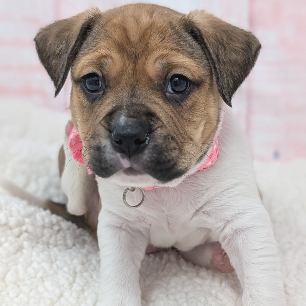 Hugs — thumbnail 4