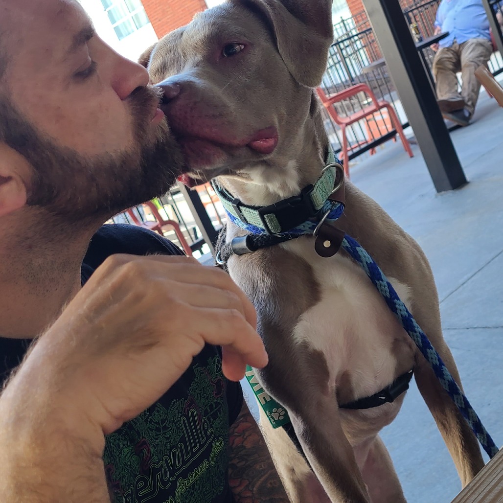 Prongs is available for adoption at CARE - Center for Animal Rescue ...