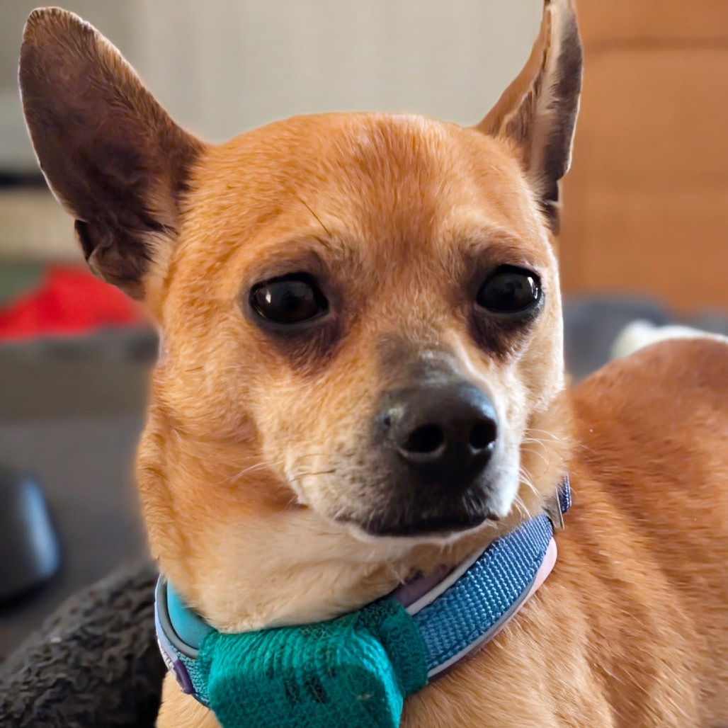 Javier — thumbnail 2