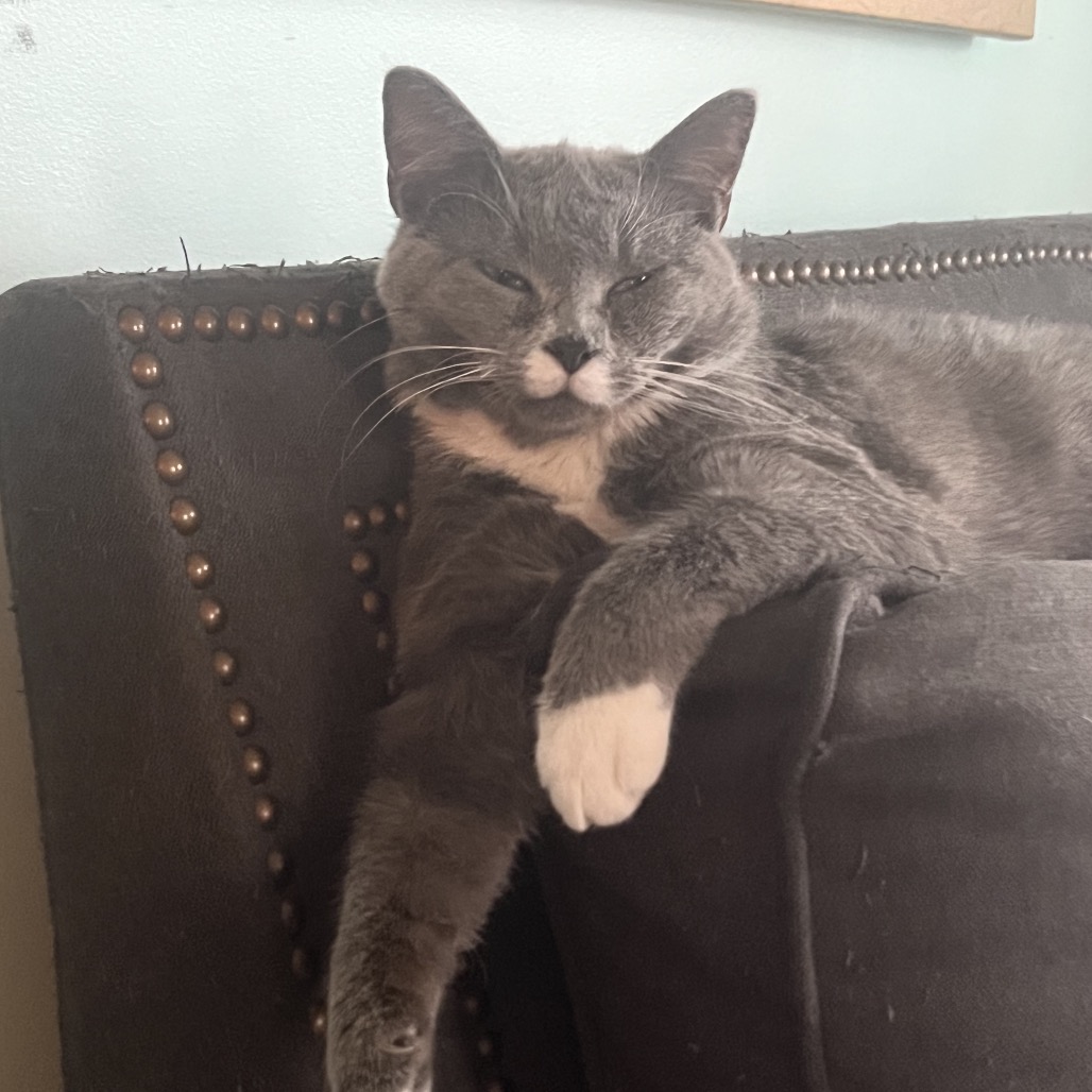 Whitt — thumbnail 5