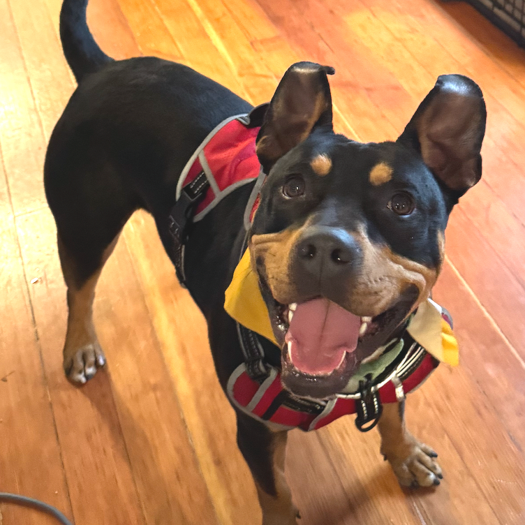 Mr. Beans — thumbnail 3