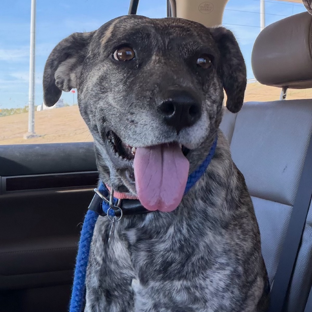 Daisy Duke (Formerly Phoebe), photo 15