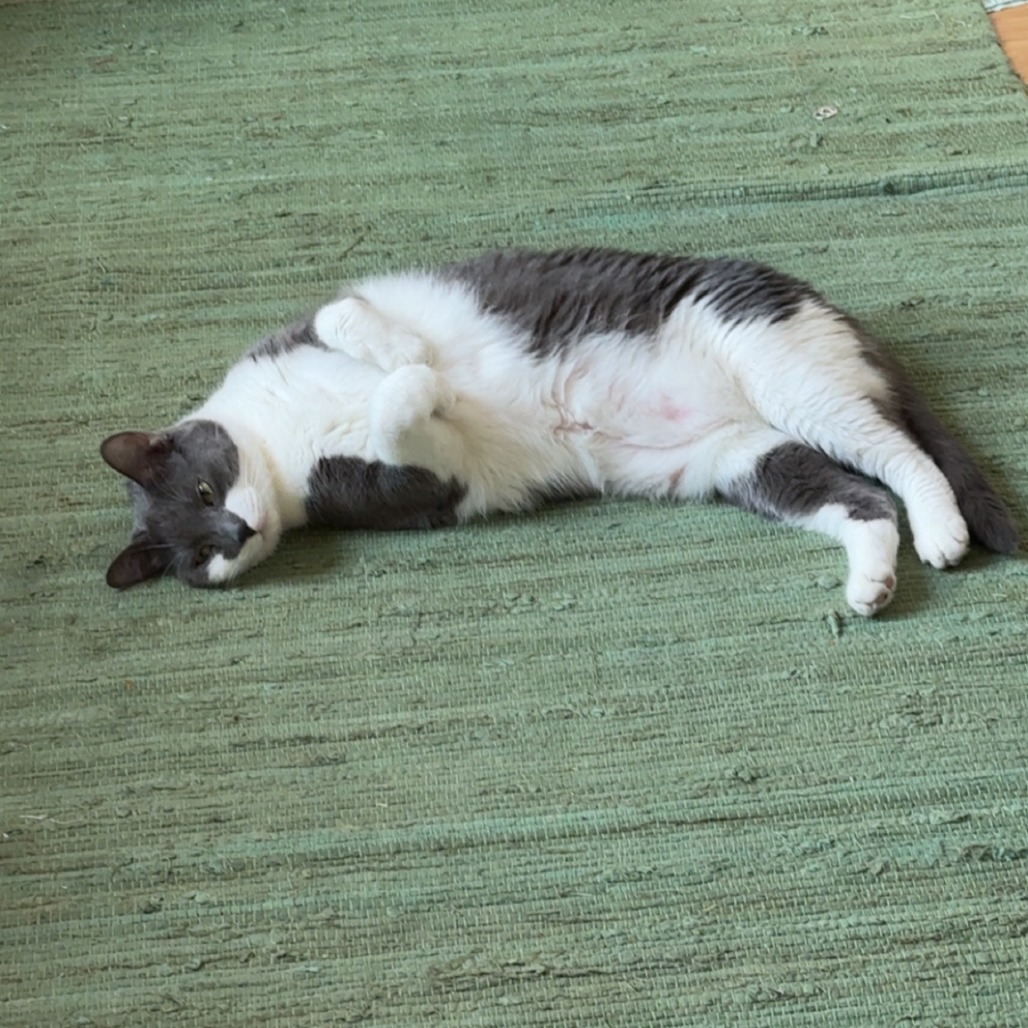 Rockefeller - Available from Foster