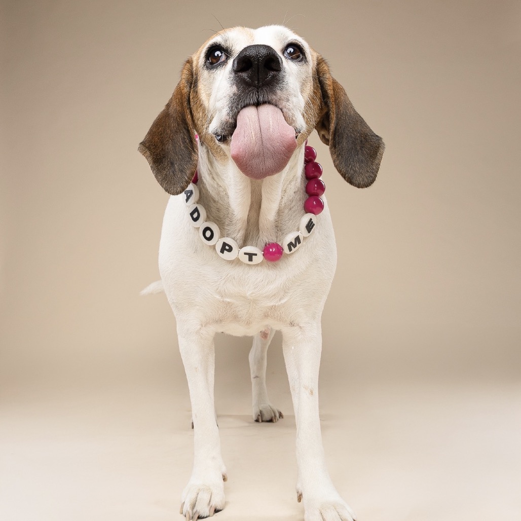 Sadie Cane, photo 8