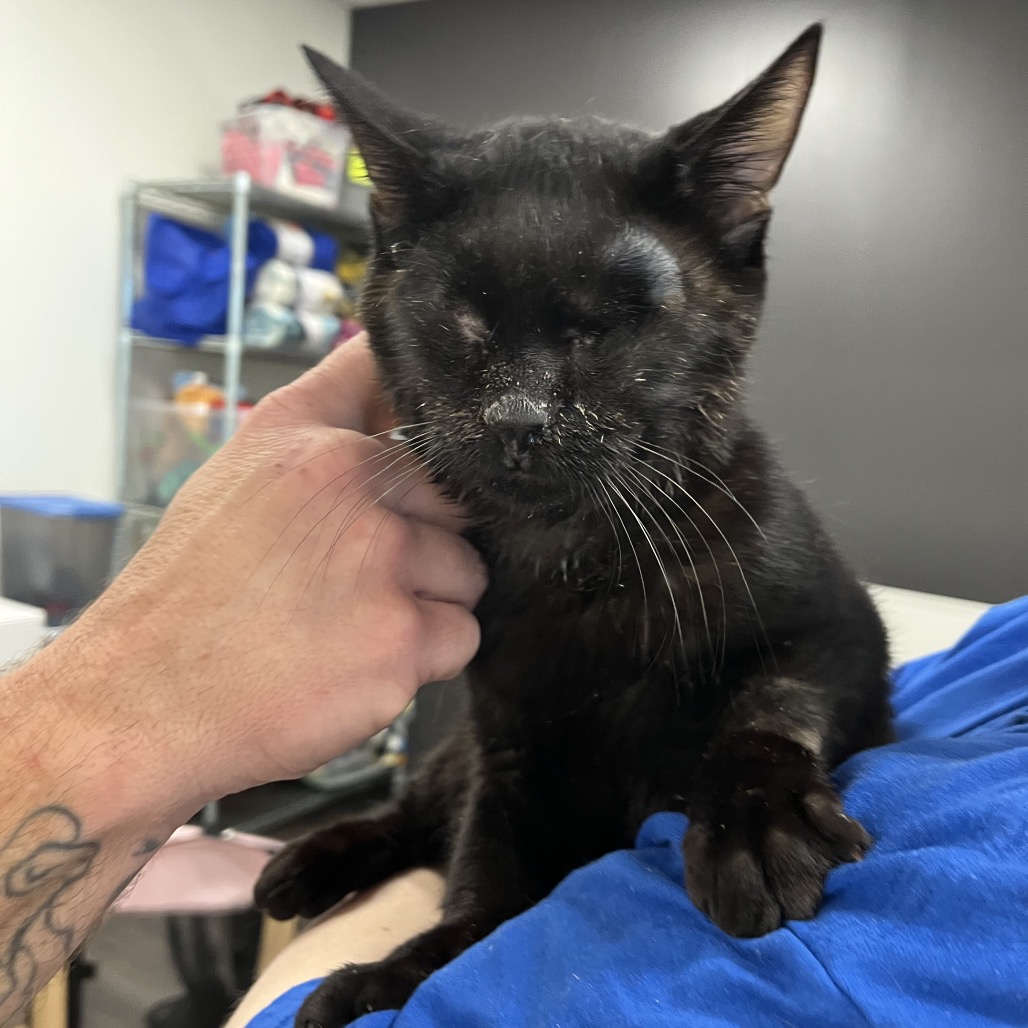 a863490b6b5dfb80475a6563d0db42e6