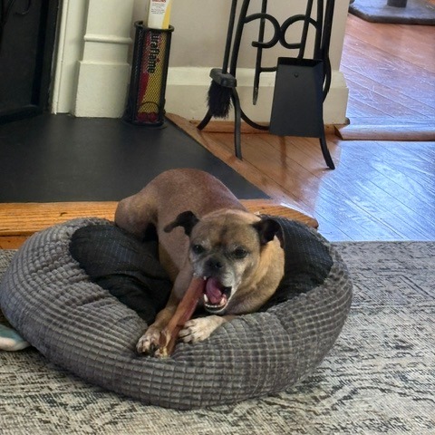 Frankie, additional photo