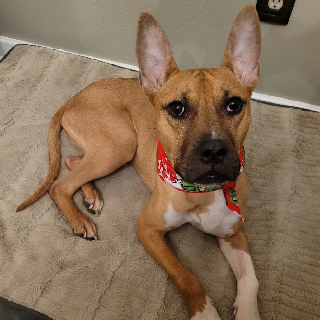 9524db0a1865b9de8996f20f184e1355