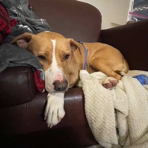 Kaycee — thumbnail 5