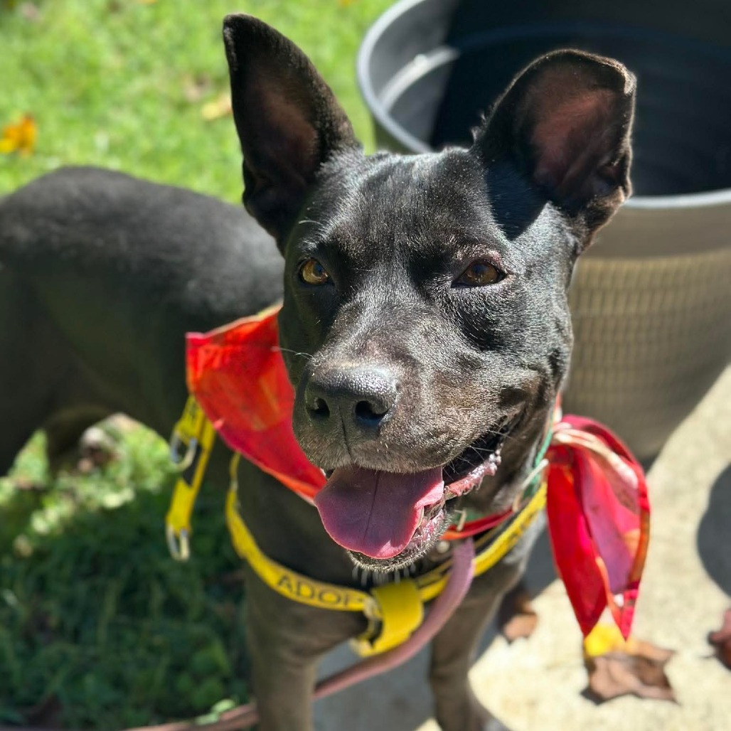 Mae, photo 20
