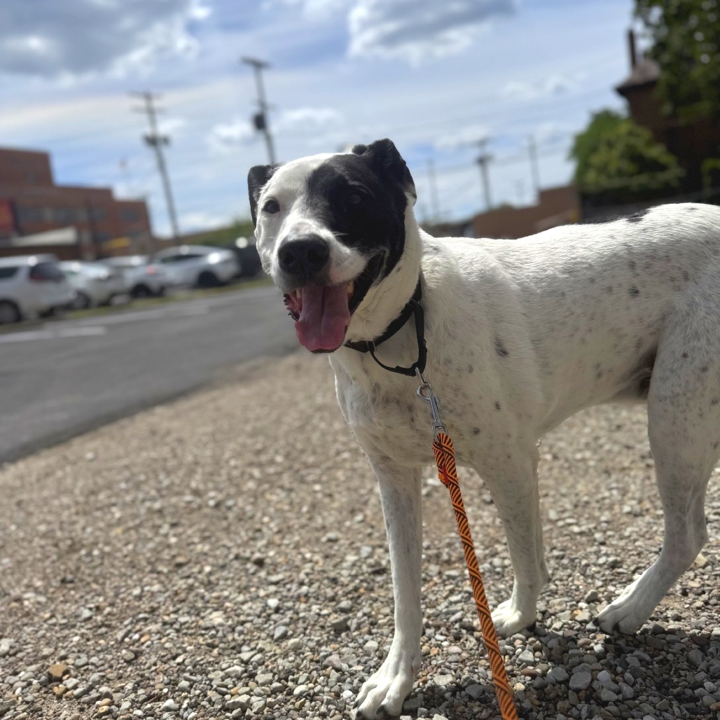 Photo of Buddy 5
