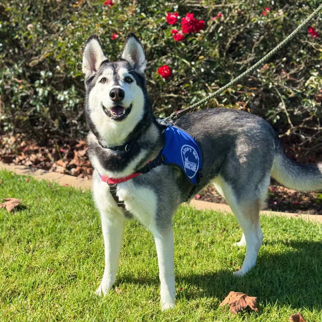 Tundra, photo 14