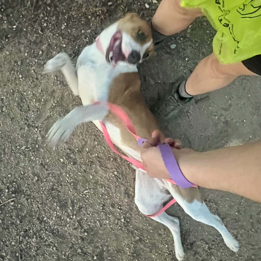 Jason — thumbnail 9