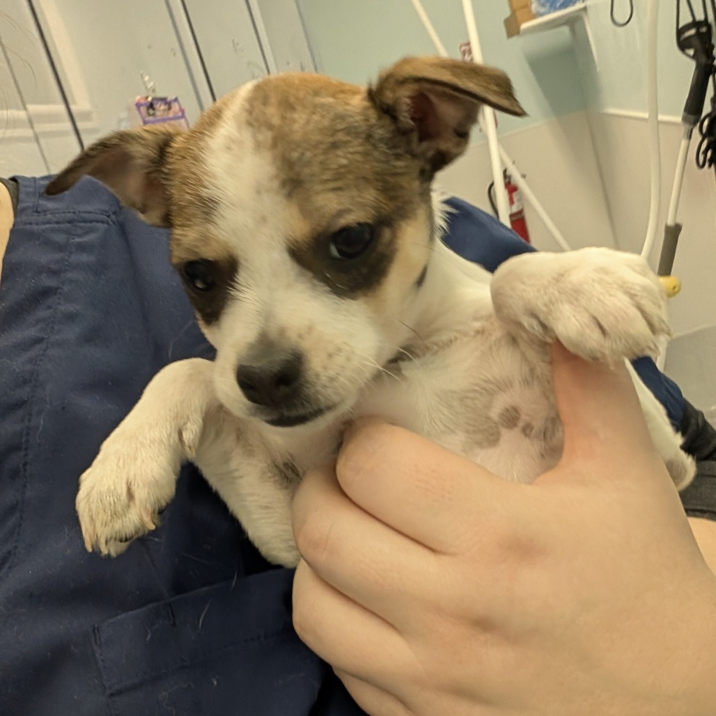 Carley — thumbnail 2