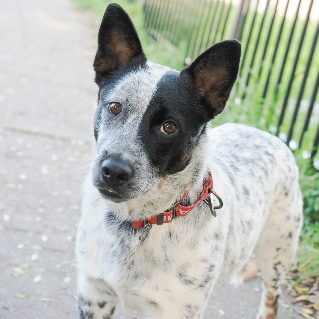 ERNIE, photo 3