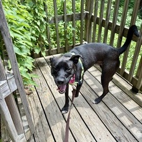 Photo of Chip 16