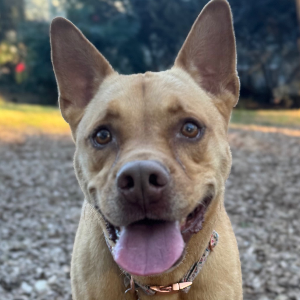 Bunty, additional photo