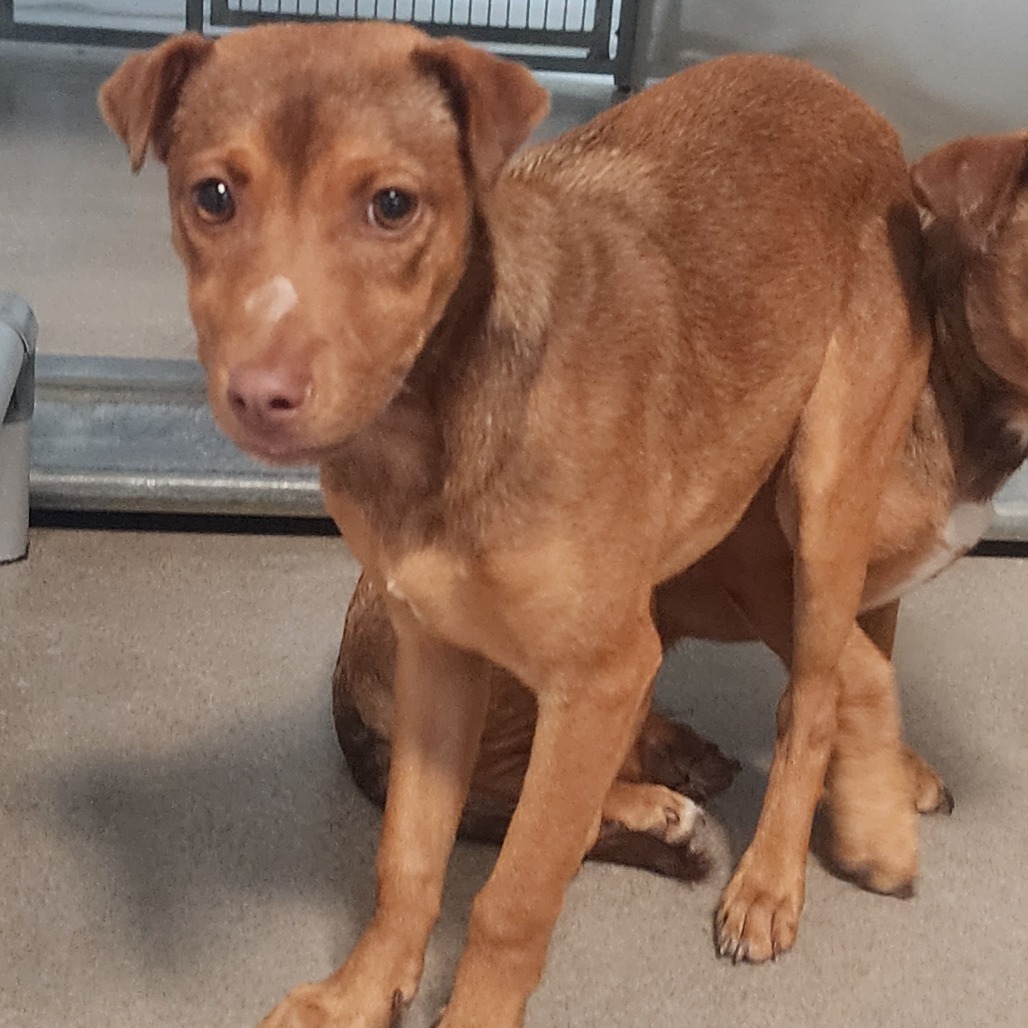 Kennel#27b's preview photo