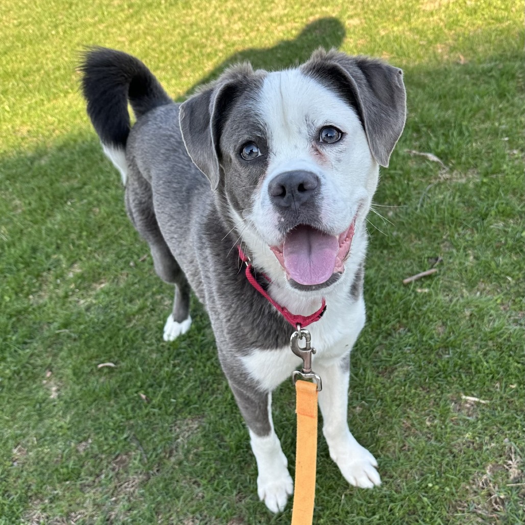 Photo of Sastrugi 13