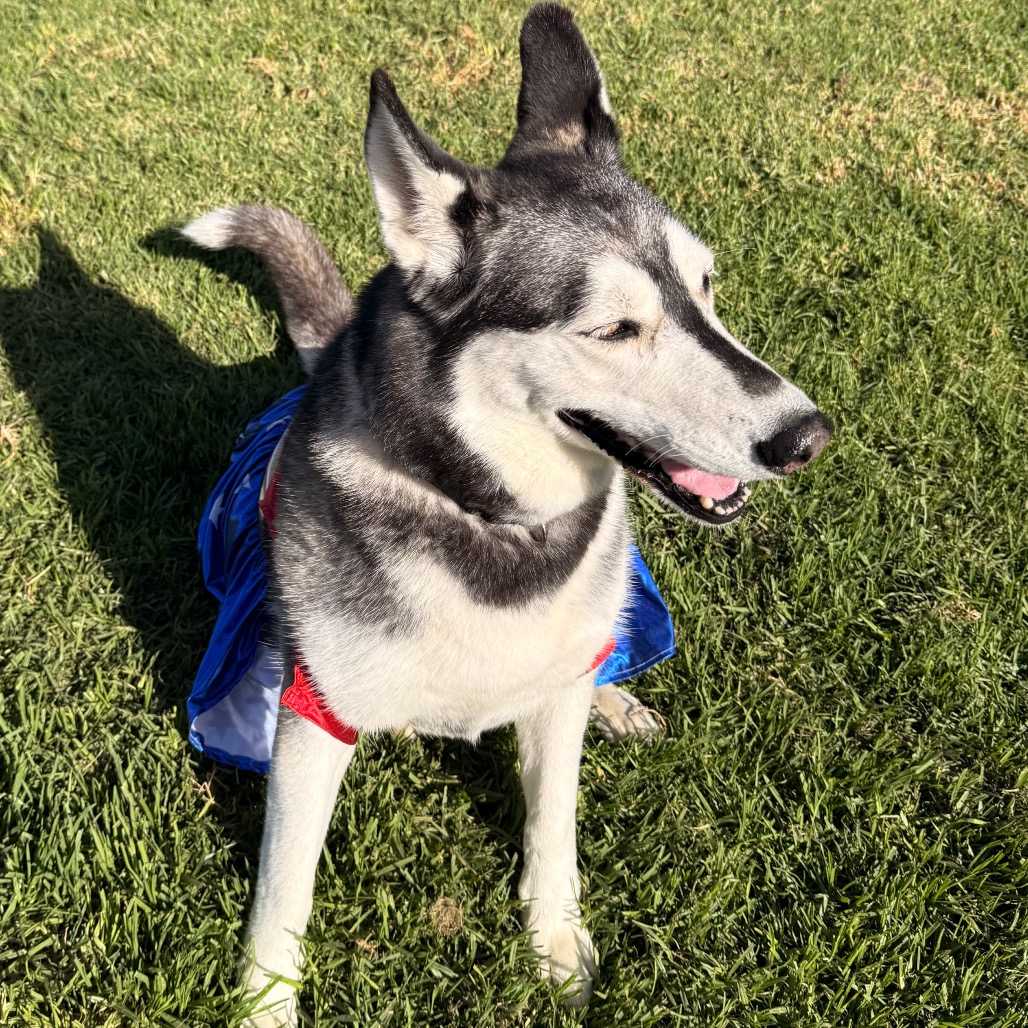 Tundra, photo 22