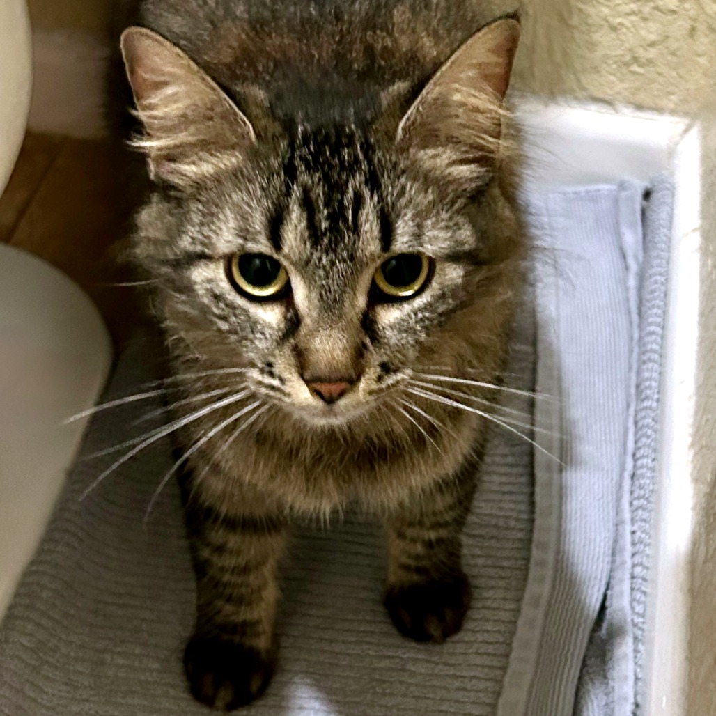 Short Stack — thumbnail 9