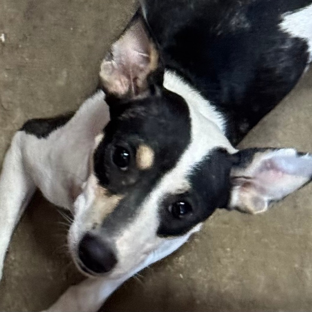 Zola, photo 2