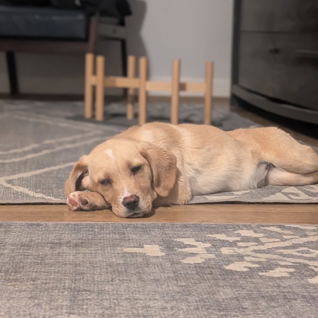 Natasha — thumbnail 3