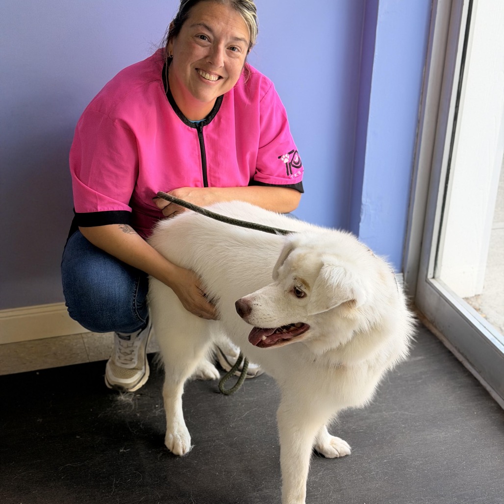 Gigi (bonded with Gable) photo 10