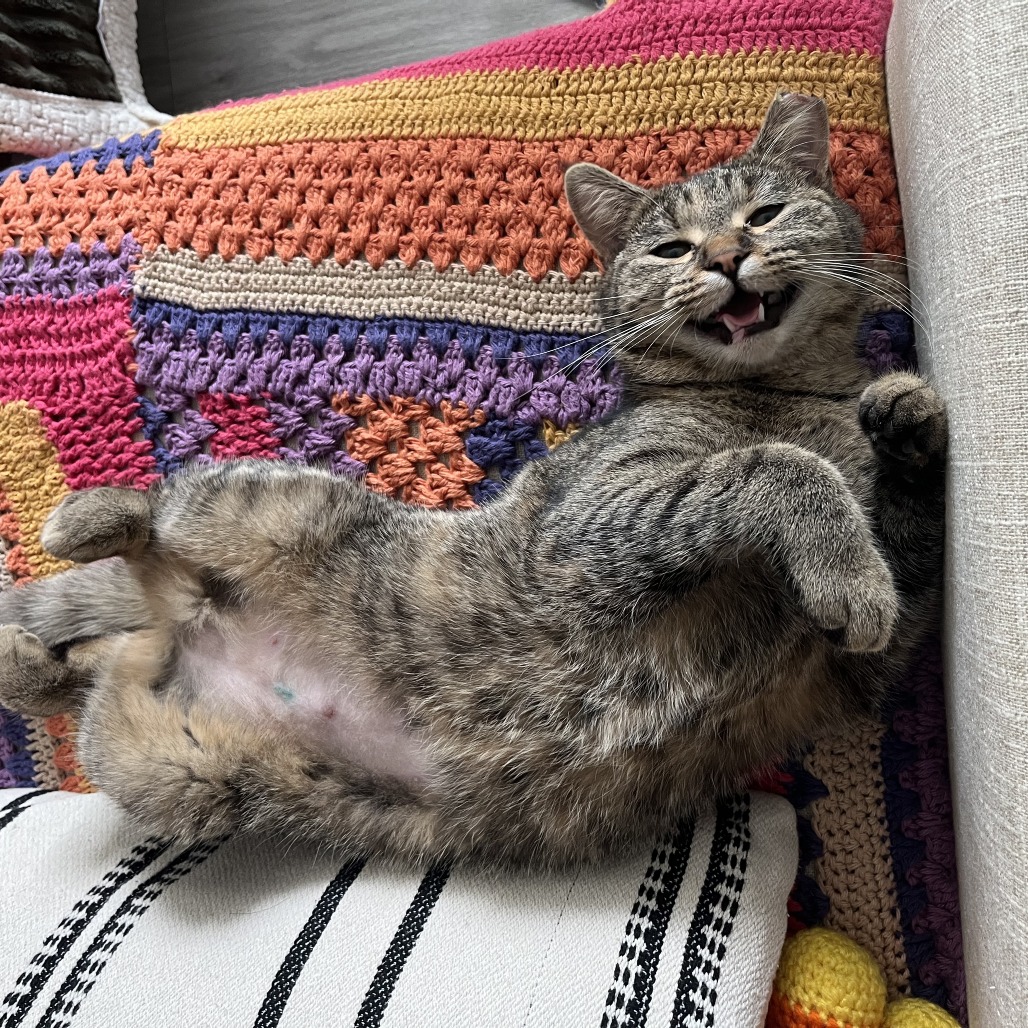 Ms. Pac Man — thumbnail 5