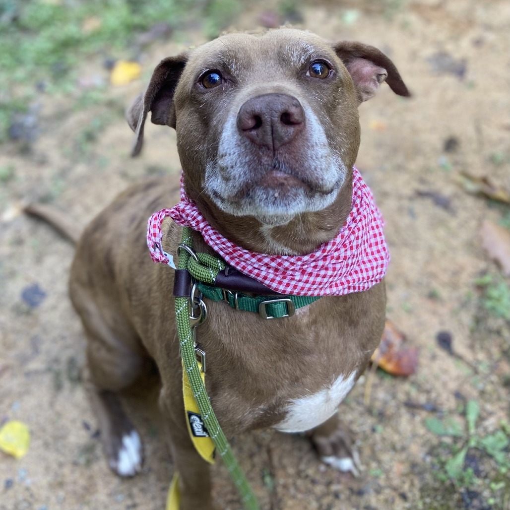 Diesel, photo 20