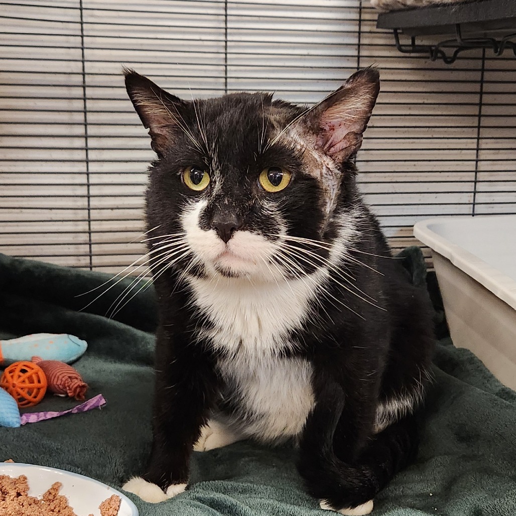 Andrew — thumbnail 4