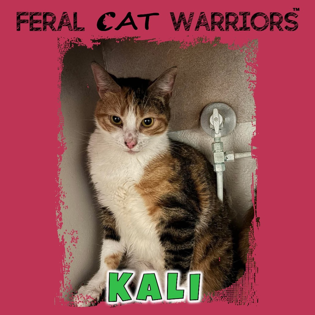 Kali