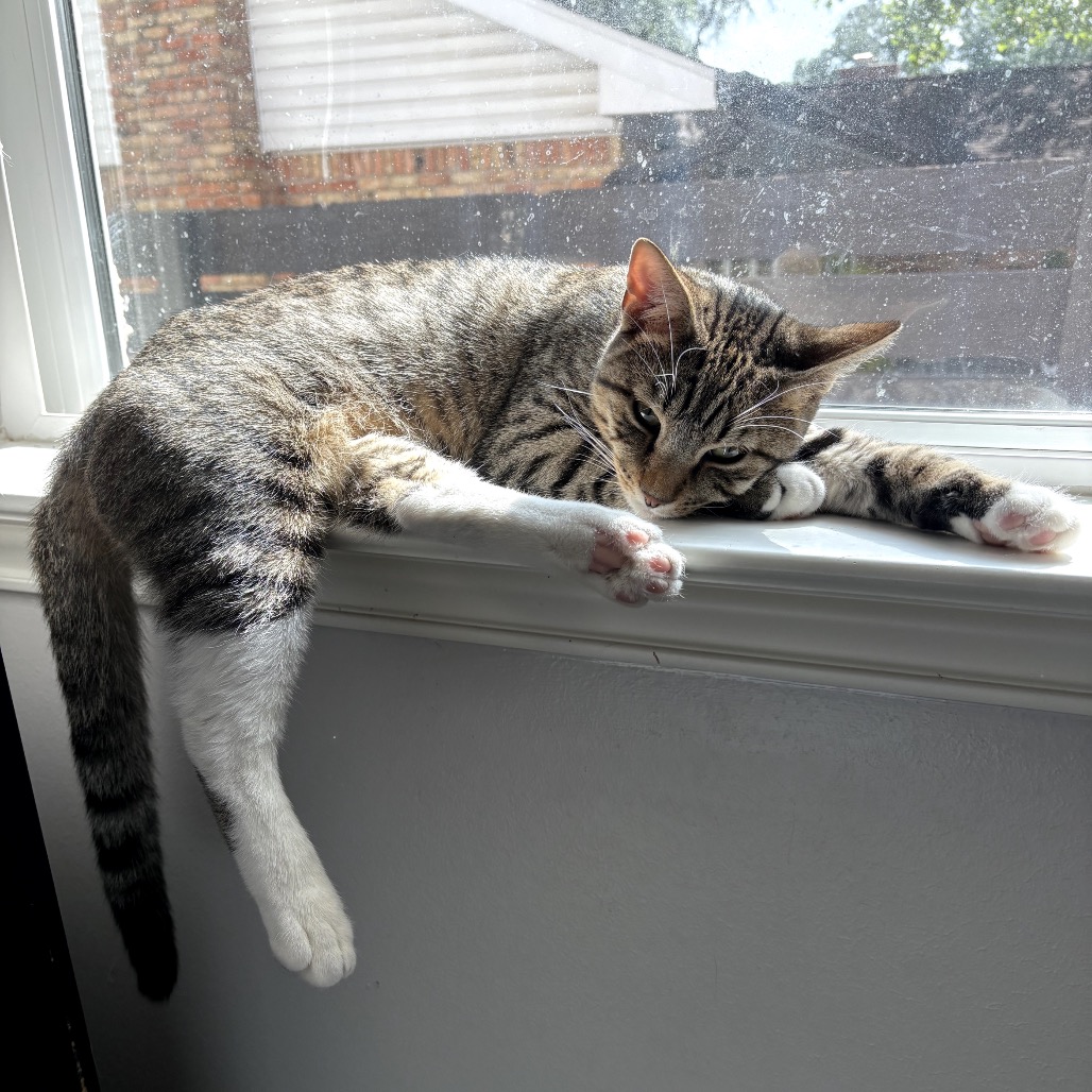 Timothy, photo 4