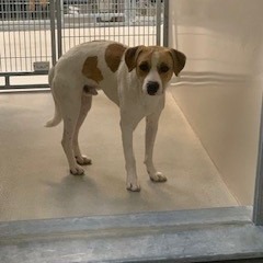 Kennel#10 Bally's preview photo