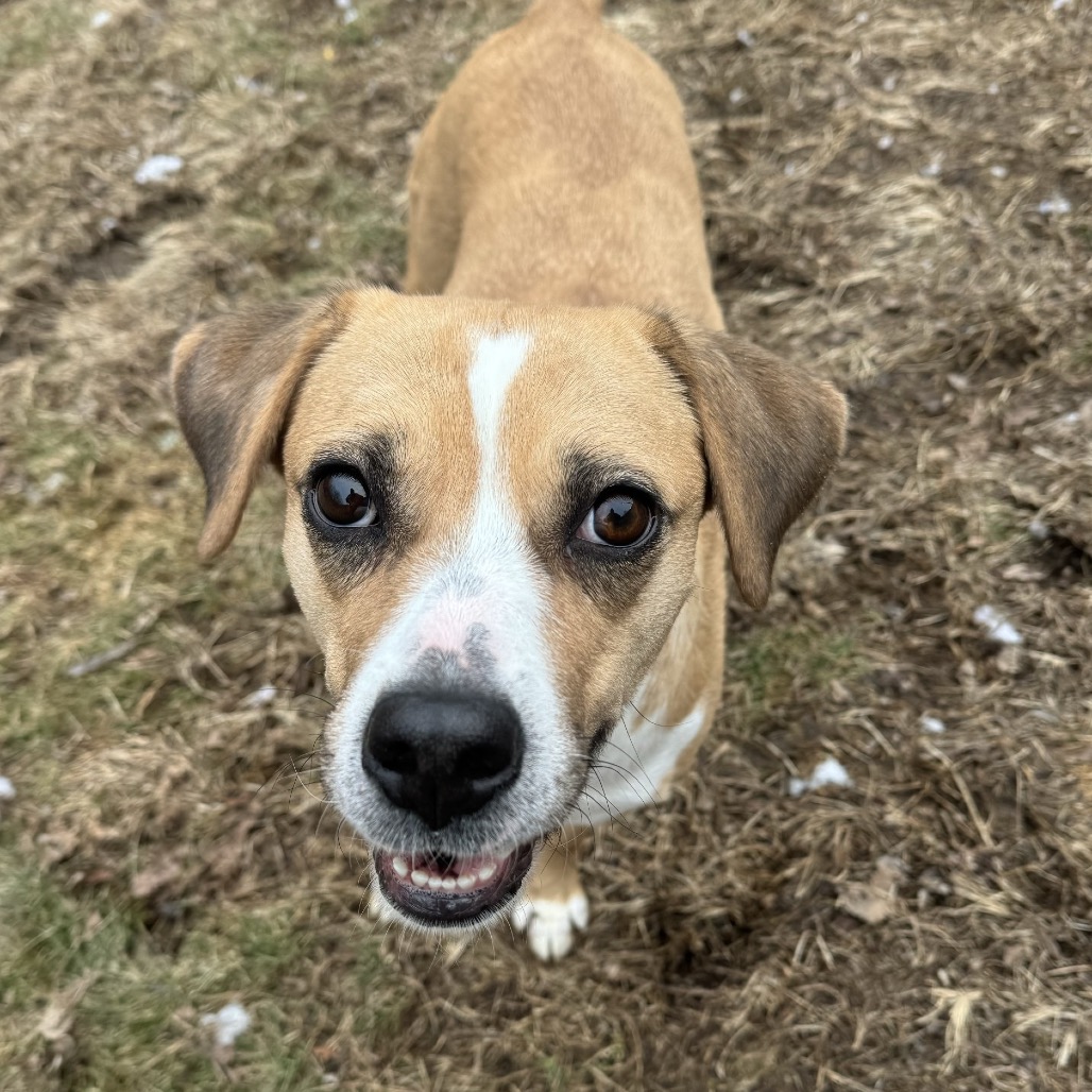 Makima — thumbnail 8