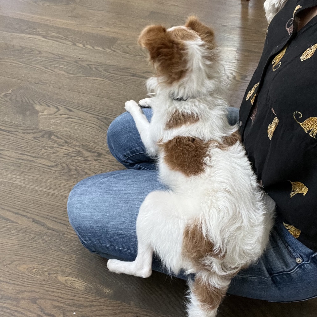 TATER TOT, photo 5