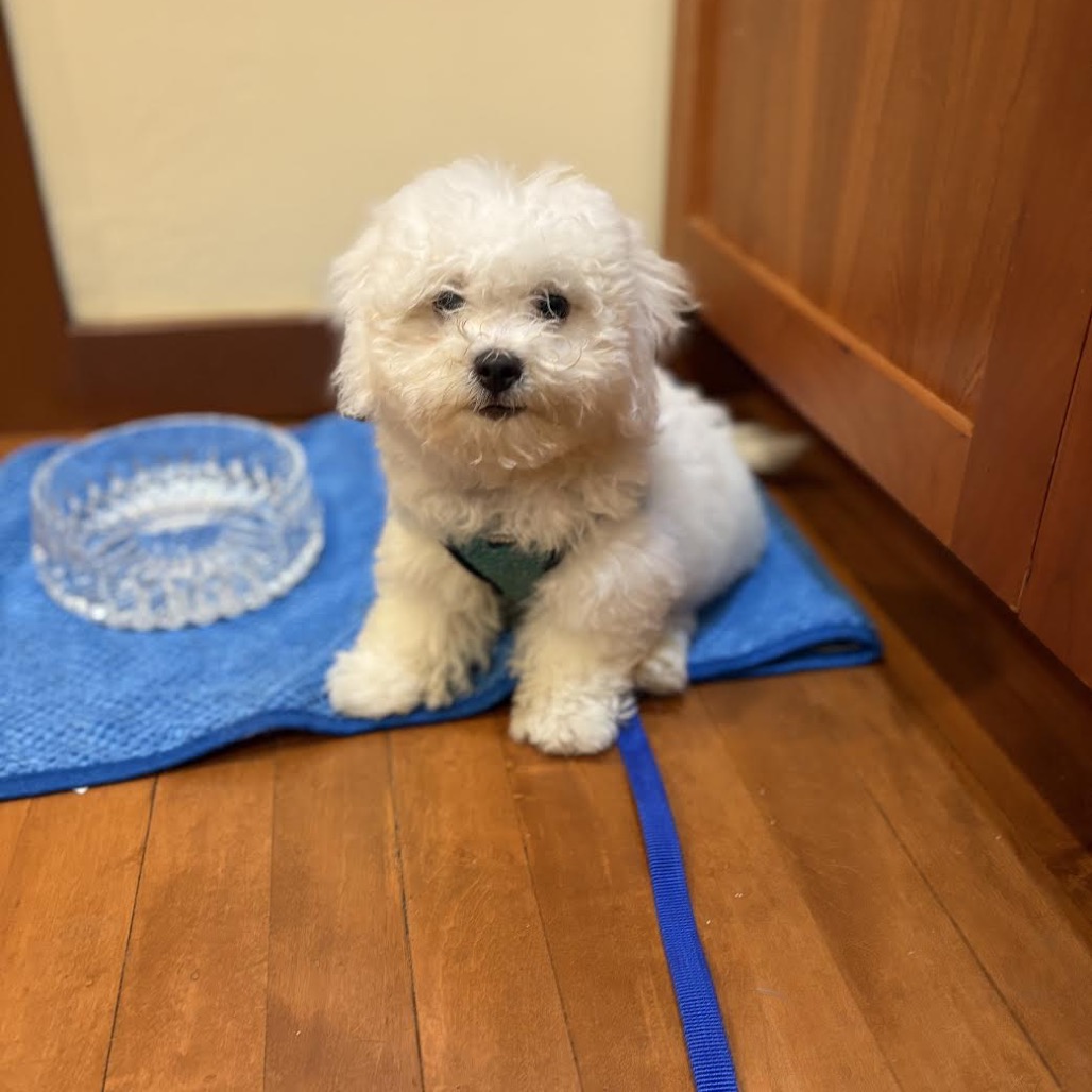Sue