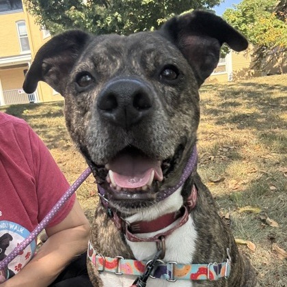 Leonardo — thumbnail 2