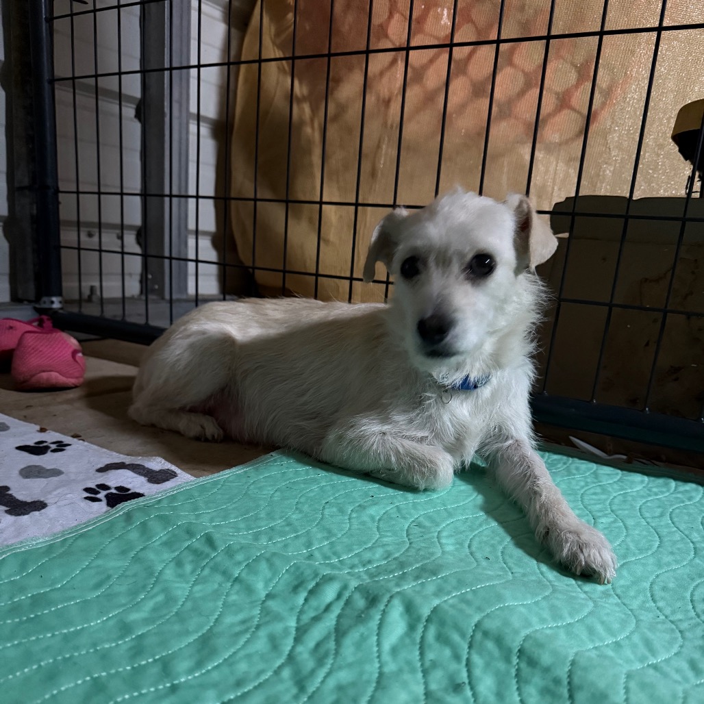 Fruitcake — thumbnail 3