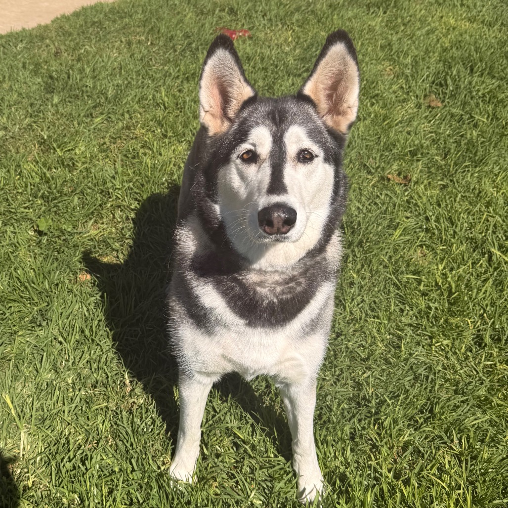 Tundra, photo 9