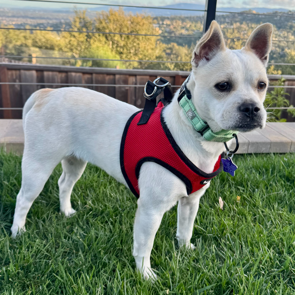 Margaret — thumbnail 4