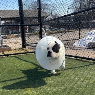 Melabeans — thumbnail 5